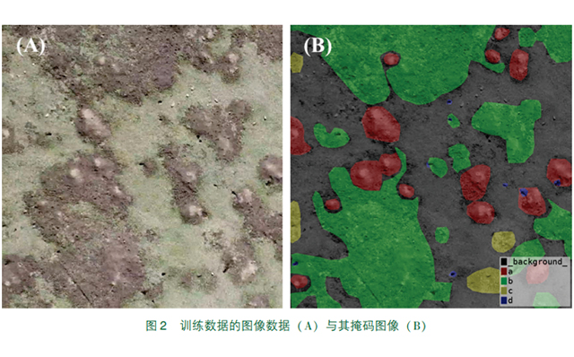 图一 训练数据的图像数据 （Ａ） 与其掩码图像 （Ｂ）.jpg
