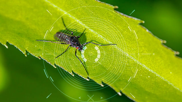 1737075608463899.jpg 1.jpg